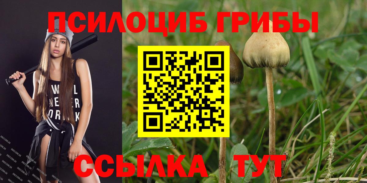 Балахна  Галлюциногенные грибы GOLDEN TEACHER  Вход с VPN  Галлюциногенные грибы мухоморы 